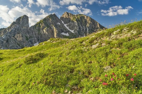 Torre Dusso of the Croda da Lago group from Passo di Giau, Alpine roses, Dolomites, Belluno, Italy,