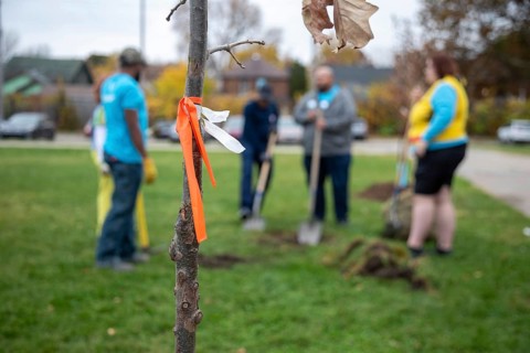 Detroit, Michigan, The nonprofit Greening of Detroit plants trees in the Morningside neighborhood.