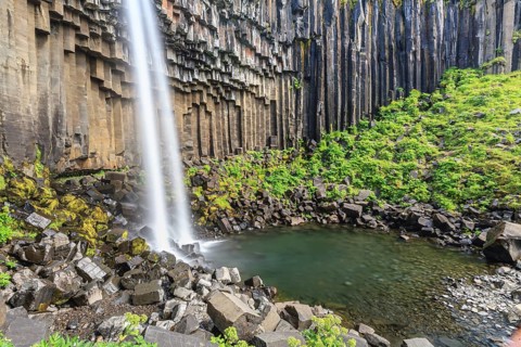Waterfall, basalt columns, summer, Svartifoss, Skaftafell National Park, Iceland, Europe