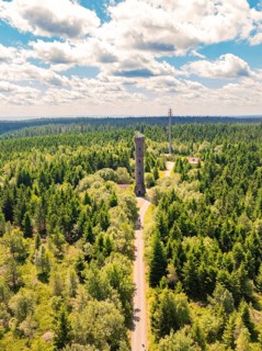 A narrow path leads to an observation tower, surrounded by dense forest and a blue sky with white