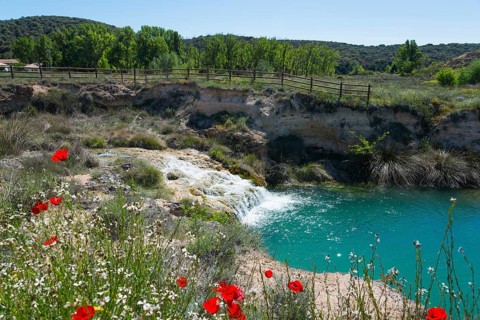 A waterfall flows into a turquoise-coloured lake, surrounded by blooming flowers and green