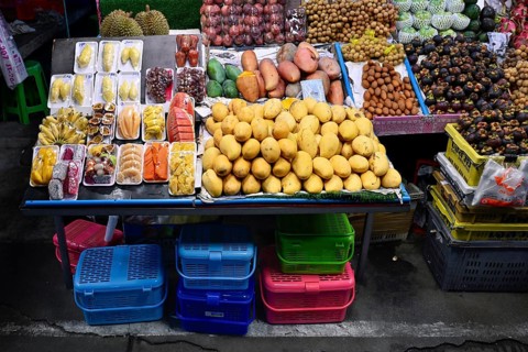Fruit shelf