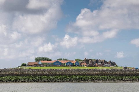 Hallig Hooge, Backenswarft, North Frisia, Schleswig-Holstein, Germany, Europe