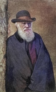 Charles Darwin, 1809, 1882, British naturalist. After a photograph (1881) by Mr Elliott and Mr Fry,