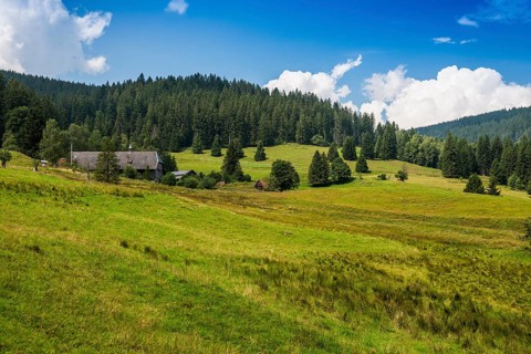 Old picturesque farm, Windberghof, St Blasien, Southern Black Forest, Black Forest, Germany, Europe