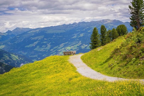 Hiking trail to a bench with a marvellous view of the mountains and surrounding meadows, Penken,