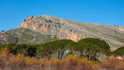 Rocky mountain landscape visible over treetops (Pineae), against a blue sky, Strofilia biotope,