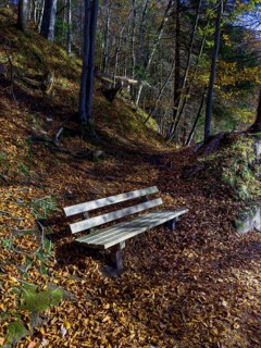 Wooden bench, autumn atmosphere at Hechtsee lake near Kufstein, Tyrol, Austria, Europe