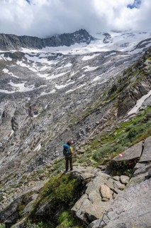 Mountaineer on hiking trail with blooming alpine roses, mountain landscape with rocky mountains and