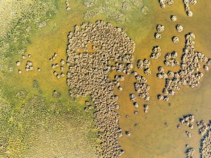 Detail of marshland near Sanlúcar de Barrameda. Aerial view. Drone shot. Cádiz province, Andalusia,