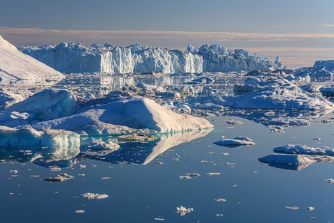 Icebergs and ice floes reflected in the water, sunny, summer, Jakobshavn Glacier and Icefjord,