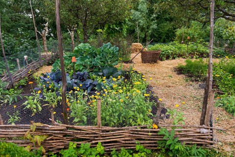 Old vegetable garden, self-sufficient, grow, plant, traditional, Scandinavian, tree, roundabout,