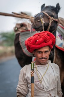 Man with red turban, nomadic caravan with camels, near Mandu, Madhya Pradesh, North India, India,