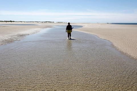 Beach coasts on the island of Amrum, Norddorf, 15.06.2020