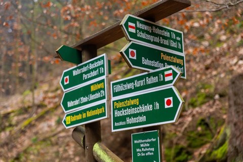 Polenztal in Saxon Switzerland, Hohnstein, Saxony, Germany, Europe