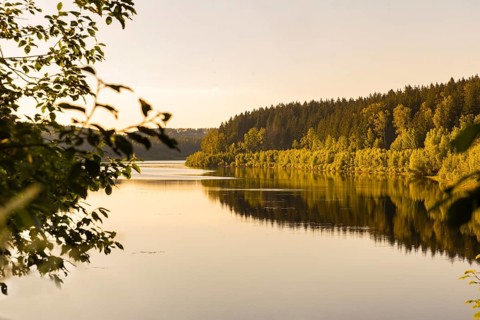 The Lehnmühle dam is a dam in the Free State of Saxony. It is located in the Osterzgebirge in the