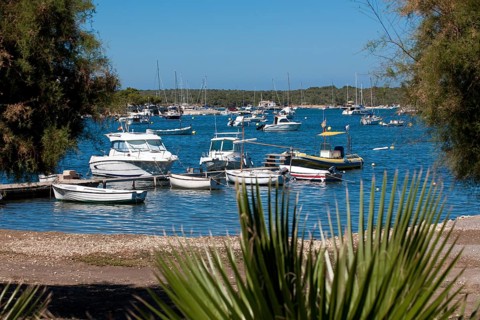 View of many small boats yachts yachts in bay of Portocolom on Mediterranean Sea, foreground leaves