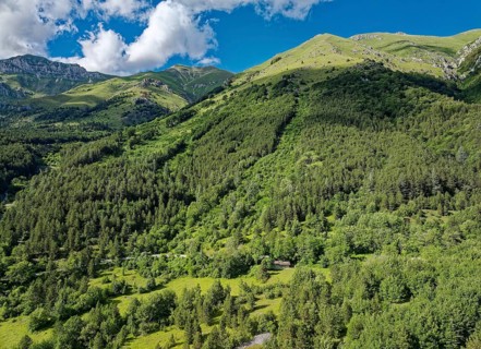 Wooded slope and above it the tree line in the mountain landscape in the Gran Sasso and Monti della