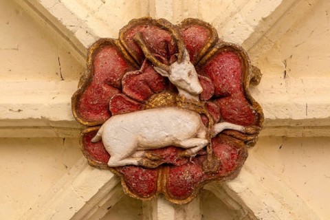 Roof boss depicting a white hart deer Great Hall, Dartington estate, Darlington, south Devon,