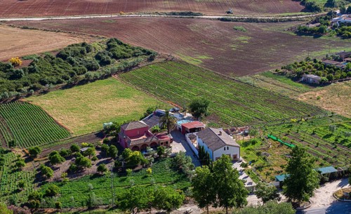View of a small hacienda, Arcos, Andalusia, Spain, Europe