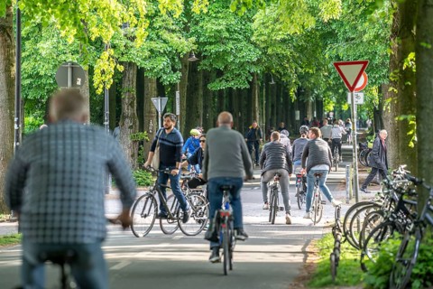 One of 4 road crossings of the Promenade cycle path, a tree-lined, car-free, approximately 4.5 km