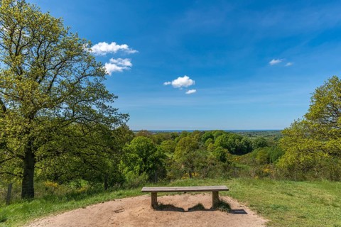 Svanninge Bakker, Faaborg, wooded heights in southern Funen, nature reserve, recreation, hiking,