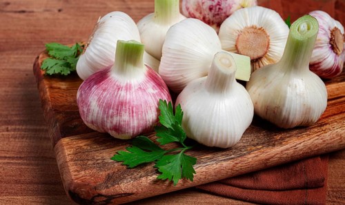Fresh young garlic, white and purple color, on a wooden table, no people