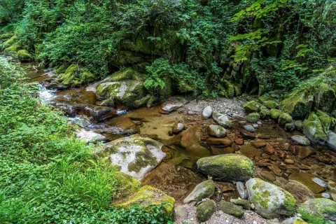 In the Grobbach stream valley on the Geroldsau Waterfall Circular Trail, Geroldsau, Baden-Baden,