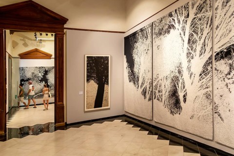 Art exhibition 'Atlas' by Jan Hendrix, Casa de Montejo, Merida, Yucatan State, Mexico, Central