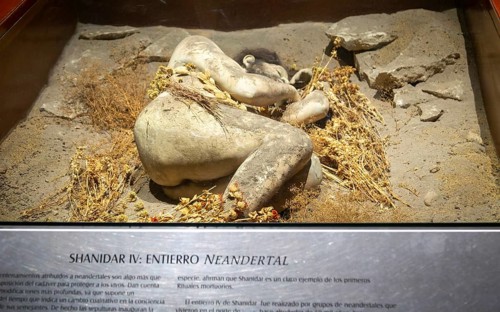 Model reconstruction of Neanderthal man, National Museum of Anthropology, Mexico City, Mexico,