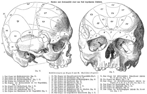 Human skull, anatomical illustration by Franz Joseph Gall, 1758 - 1828, a German physician and