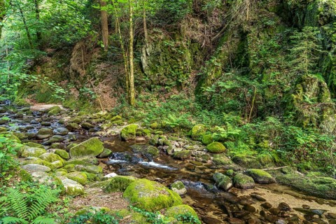 In the Grobbach stream valley on the Geroldsau Waterfall Circular Trail, Geroldsau, Baden-Baden,