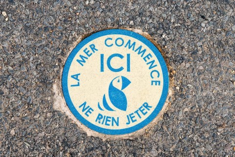 Round blue sticker on the road with fish symbol and environmental message, the sea begins here,