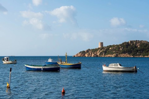 Fishing boats and Genoese tower, Porto di Teulada, south coast, Sardinia, Italy, Europe