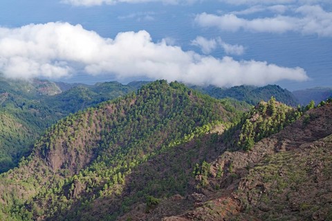 Wooded mountain landscape with clouds in the sky and view of the sea, trade wind clouds, Roques de