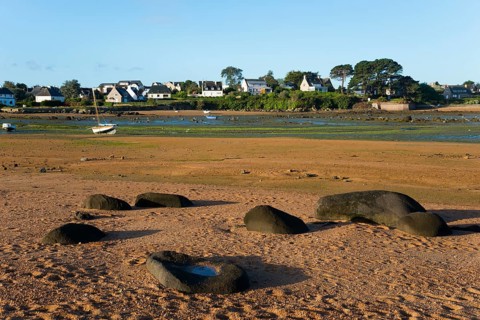 Sandy coastal scene with visible stones and houses in the background, Trégastel, Tregastel,