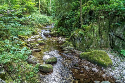 In the Grobbach stream valley on the Geroldsau Waterfall Circular Trail, Geroldsau, Baden-Baden,