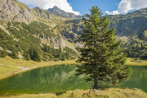 Lower Gaisalpsee, behind it the Entschenkopf (2043m), Allgäu Alps, Allgaeu, Bavaria, Germany,