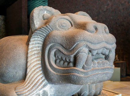 Ocelotl jaguar Aztec figure of Cuauhxicalli with cavity on back for blood, National Museum of