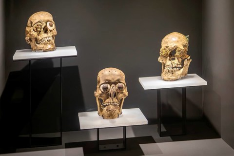 Human skull masks, archaeological site and museum of Templo Mayor, Mexico City, Mexico, Central