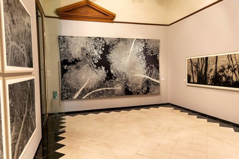 Art exhibition 'Atlas' by Jan Hendrix, Casa de Montejo, Merida, Yucatan State, Mexico, Central