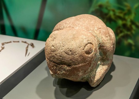 Carved stone frog or toad, archaeological site and museum of Templo Mayor, Mexico City, Mexico,