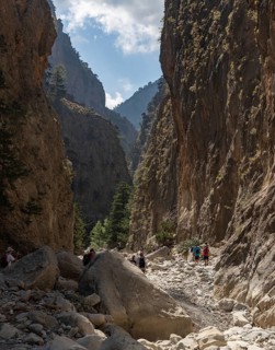 A picture of the classic Samaria Gorge landscape, with rocks on the ground and surrounding trees