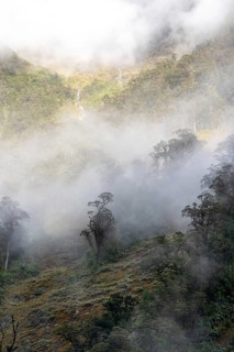 A new morning dawning at Doutful Sound, clouds hanging low in the mountains, South Island of New