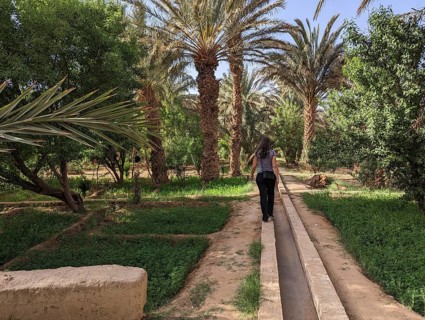 Walking through the Igrane garden near Merzouga, a typical agricultural oasis with small canals,