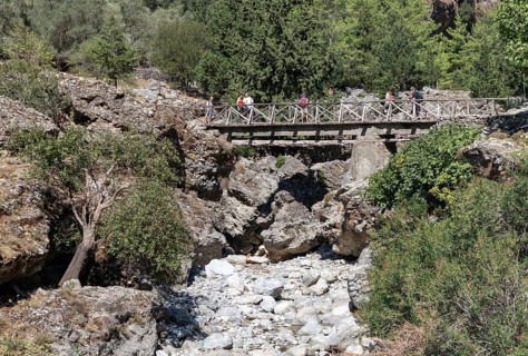 A picture of the classic Samaria Gorge landscape, with rocks on the ground and surrounding trees.