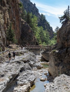 A picture of the classic Samaria Gorge landscape, with rocks on the ground and surrounding trees