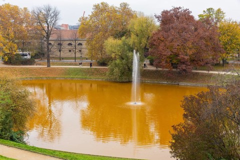 Dresden Zwingerteich, a type of algae discoloured the water brown in autumn. Dresden, Saxony,