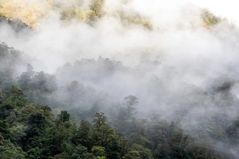A new morning dawning at Doutful Sound, clouds hanging low in the mountains, South Island of New