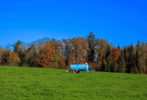 Drinking trough in a meadow in front of an autumn forest, Leimbach, Thurgau, Switzerland, Europe